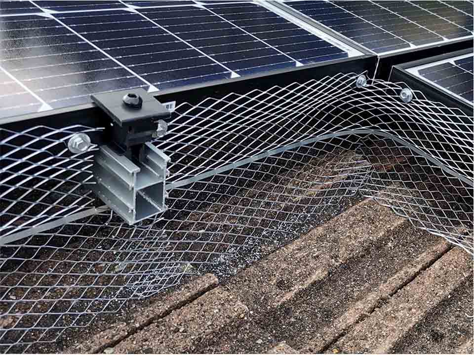 Protecting Your Investment: Solar Panel Pigeon Protection by ASUCOME