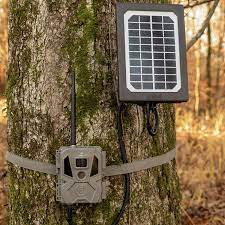 Solar Panels for Deer Cameras: Uninterrupted Surveillance